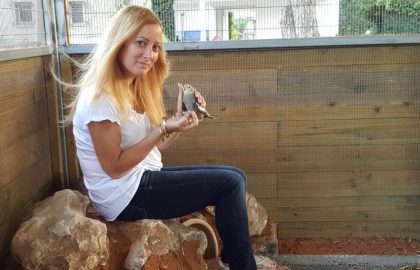 שיימיניג בפינת החי